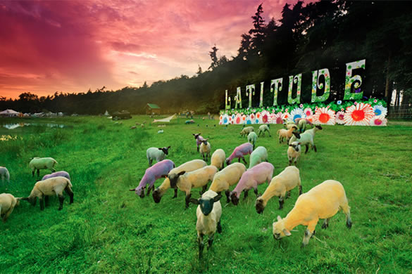Latitude Festival sheep